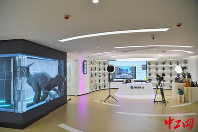 重慶南岸區實現5G全覆蓋，網絡技術服務強力驅動智能制造新飛躍