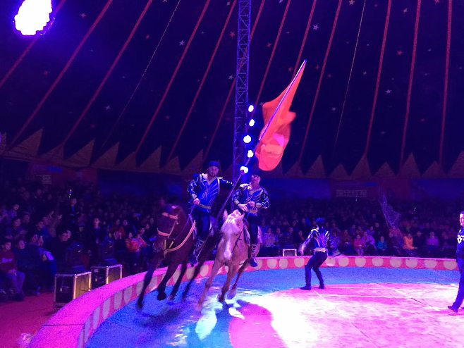 皇家馬戲團演繹