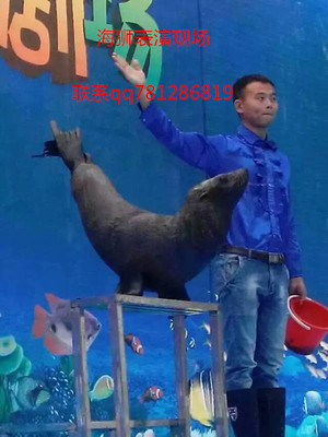 中山馬戲團(tuán)租賃_供應(yīng)信息_金農(nóng)網(wǎng)