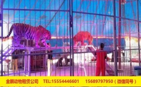 山東省即墨市馬戲團出租環(huán)球飛車表演詳細解讀