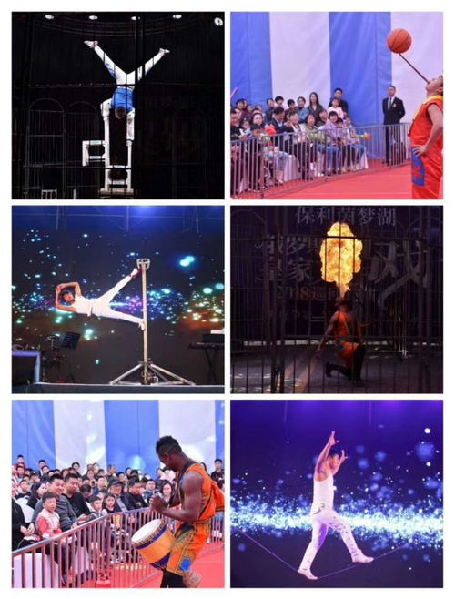 小馬戲表演租賃馬戲團(tuán)表演出租價(jià)格