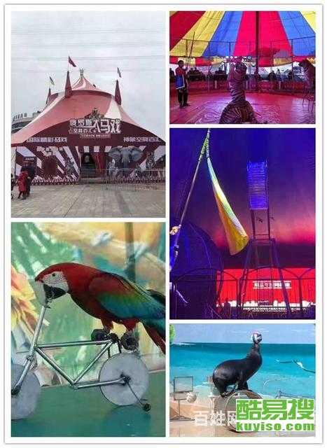 【北京b2駕照增駕a2增駕a1-金牌教練教學(xué)】-北京酷易搜