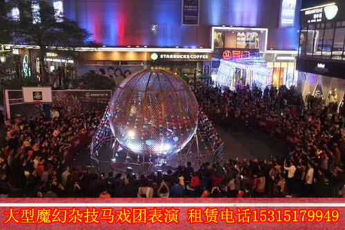 出租海獅表演馬戲團(tuán)演出動(dòng)物表演浙江省嵊州