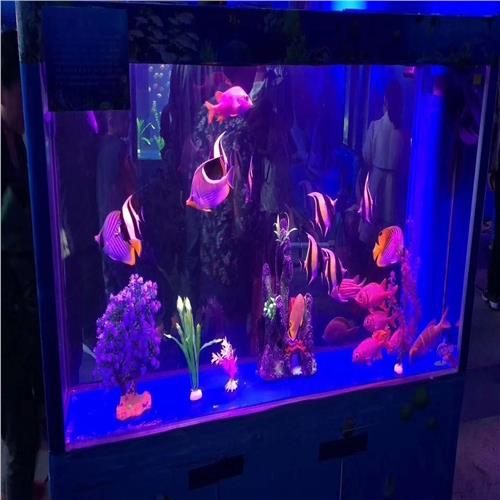 肅北縣國(guó)際馬戲團(tuán)表演