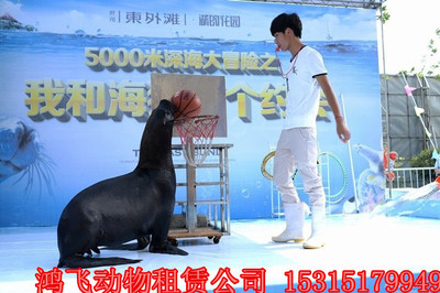 河南省平輿馬戲團(tuán)動(dòng)物雜技表演出租價(jià)格優(yōu)惠嗎