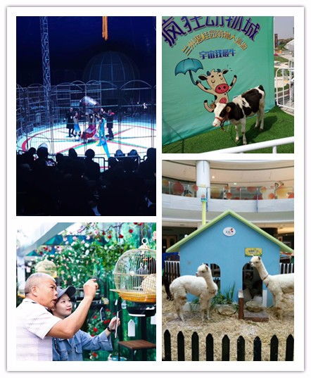 南康市租賃馬戲團(tuán)表演附近