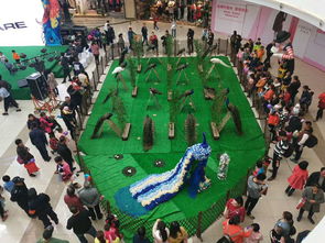 【孔雀展出租】-