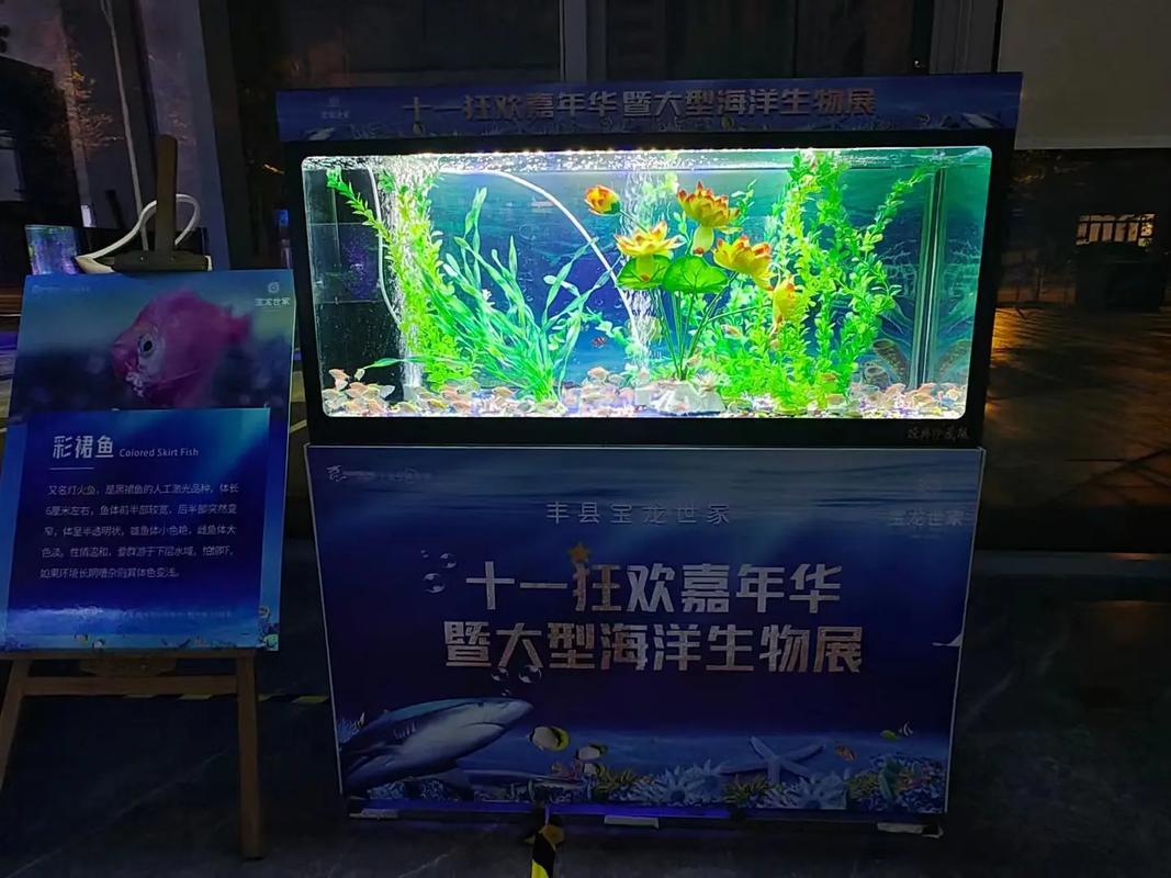 專(zhuān)業(yè)動(dòng)物出租服務(wù) 馬戲團(tuán)表演、海獅與羊駝租賃解決方案